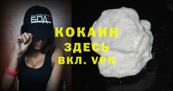 spice Алзамай