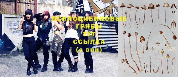 spice Алзамай